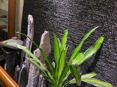 -庄隐阁(悠方广场店)