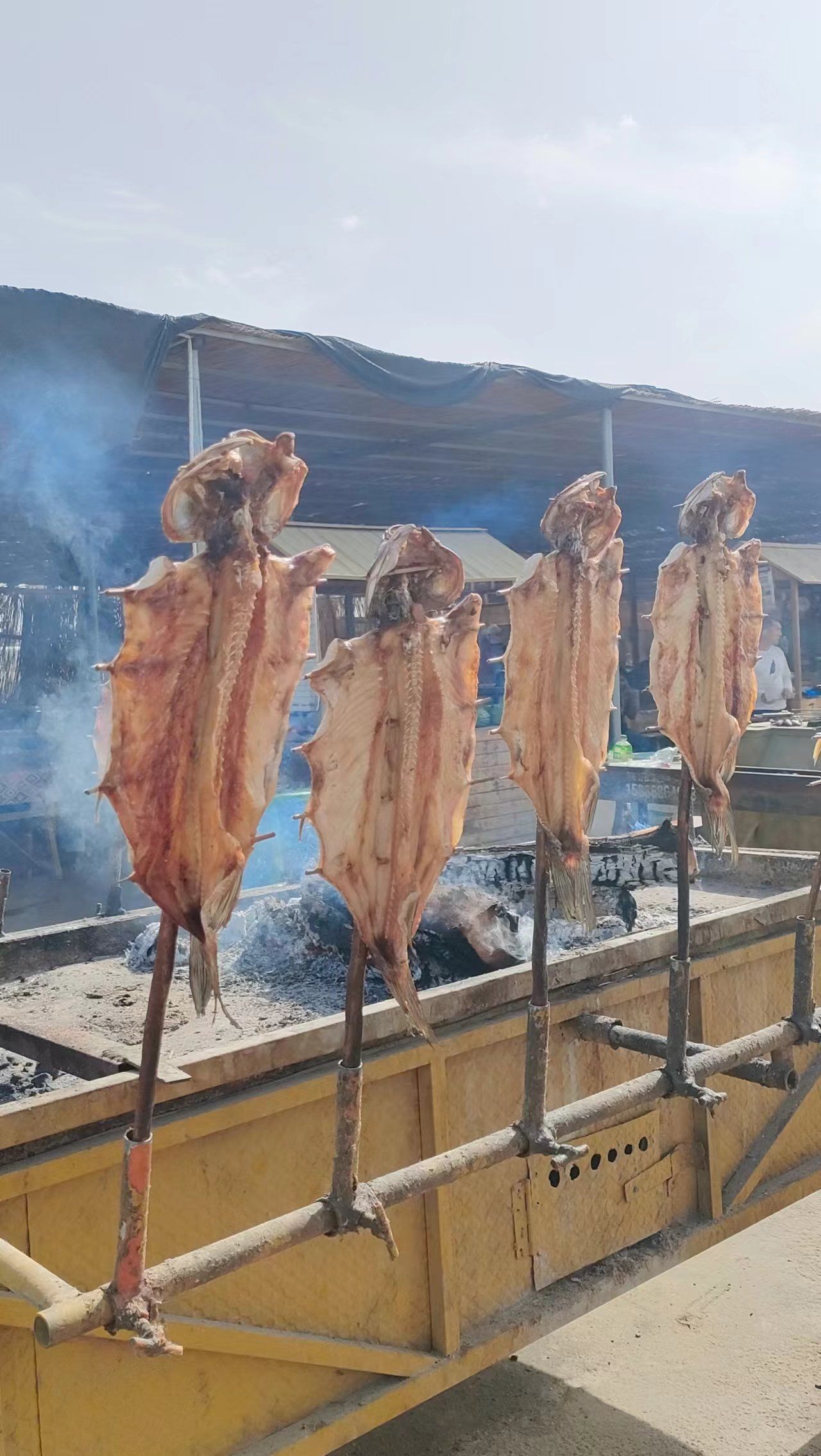 罗布人村的古法烤鱼真给力