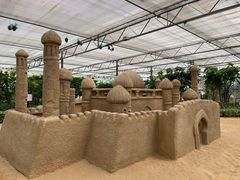 -南宫五洲植物乐园