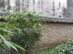 -碧江金楼
