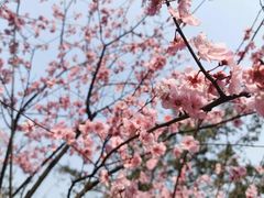 -重庆彩云湖湿地公园