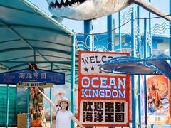 -海合安武汉极地海洋公园