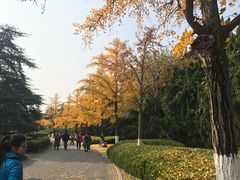 -淮海战役纪念馆