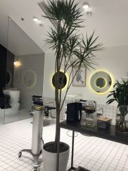 -大象造型