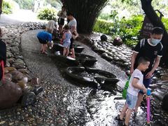 -成都市活水公园