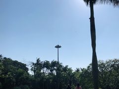 -深圳仙湖植物园