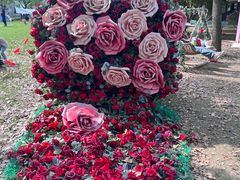 -歌斐颂巧克力小镇