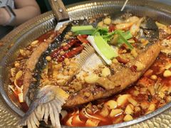 -肥家大排档(天河体育西店)