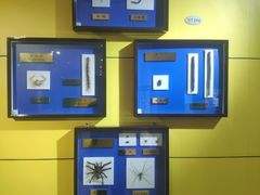 -上海昆虫博物馆