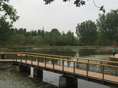 -东郊湿地公园