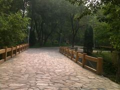 -顺鑫绿色度假村