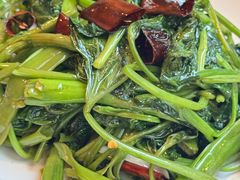 -胖哥家藏菜(护国路店)