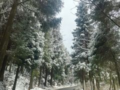 -武陵山森林公园