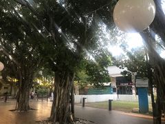 -亚龙湾中心广场