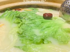 -广顺鑫猪肚鸡(经八路店)
