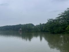 -海珠湖公园