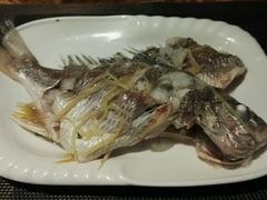 黄翅鱼-船奇蒸汽海鲜·闽菜(八市海鲜总店)