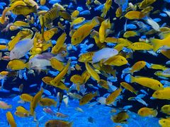 -成都浩海立方海洋公园