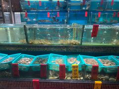 -海大大蒸汽海鲜餐厅·粤菜·特色小炒(欢乐颂店)