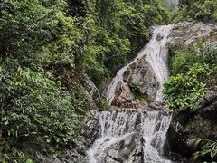 景点-天门沟九州驿站树上汤泉
