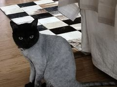 -SUPERMONKEY超级猩猩健身(中山公园店)