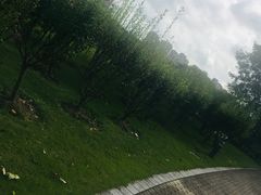 -白塘生态植物园