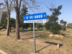 -盐城丹顶鹤湿地生态旅游区