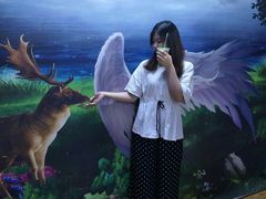 景点-苏州5D星空错觉艺术馆