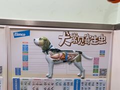 -佳雯宠物医院·皮肤科·内外科(春晓路分院)