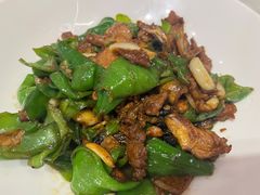青椒炒肉片-刘胖子家常菜·蹄花焖藕(中南店)