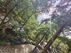 -宁海森林温泉