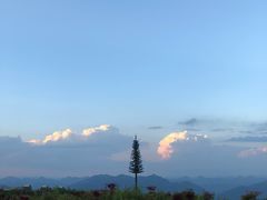 -玉舍国家森林公园