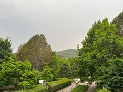 -国家植物园南园