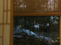 -紫· 割烹  Kappo Murasaki