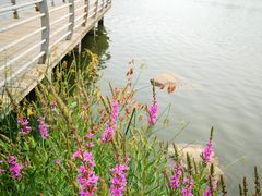 -美兰湖景区