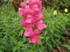 -人民公园(罗湖区)