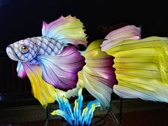 -郑州方特梦幻王国