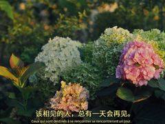 -杭州植物园