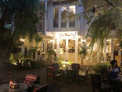 -Fern Forest Cafe