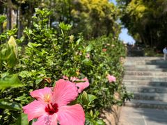 -深圳国际园林花卉博览园