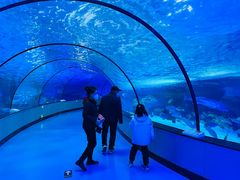 -泉城欧乐堡海洋极地世界