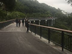 -金鸡山公园