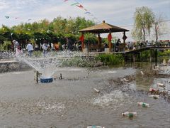 -同銮特种养殖场·龙虾垂钓