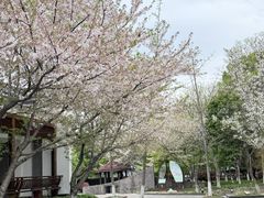 -鸣鹤古镇
