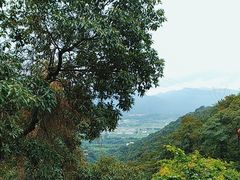 -南丹山森林王国