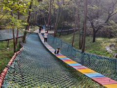 -原山国家森林公园