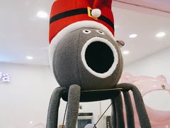 -十年猫舍·猫咪专门店(普陀店)