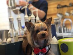 -Be Lived Cafe比例咖啡(摩天轮店)