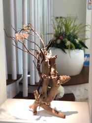 点击看大图 -广州健丽·去眼袋医疗美容机构