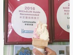 -柠檬车露(卖草地店)
